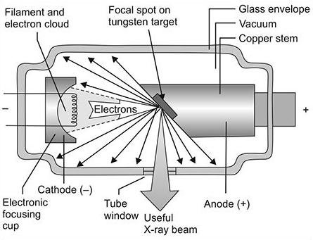 portable dental x-ray-working princeple